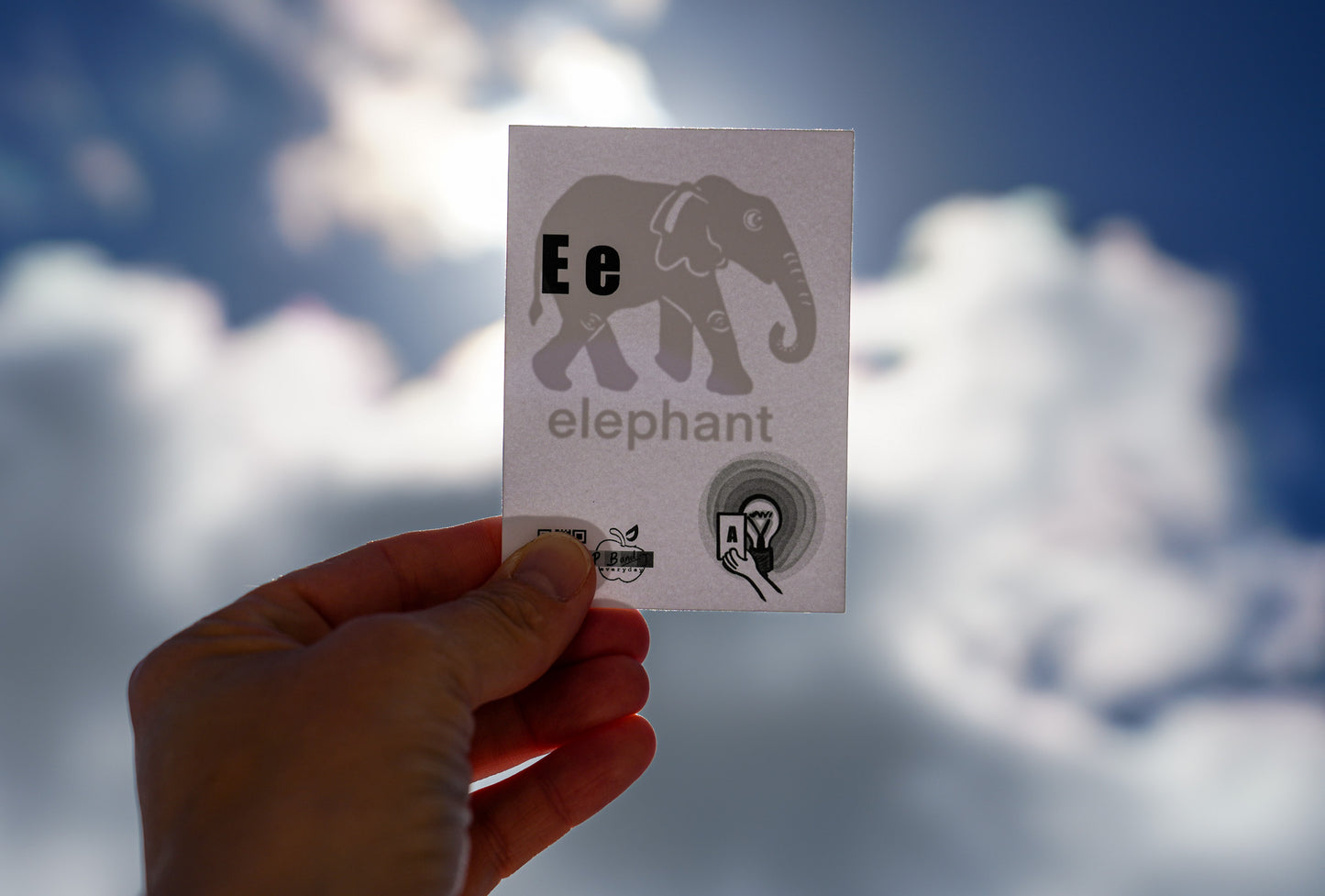 Interactive Shadow Cards: Shadow Surprise: reading skills built on the science of reading: phonemic awareness, phonics, context, letter recognition