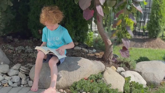 A-Z Reading Curriculum Bundle : phonics, phonemic awareness and more.